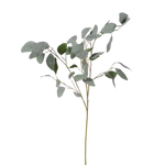 Silver Dollar Eucalyptus Spray