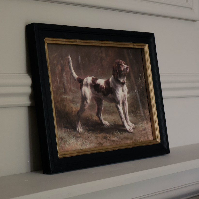 Standing Spaniel in Woodland Light Framed Print