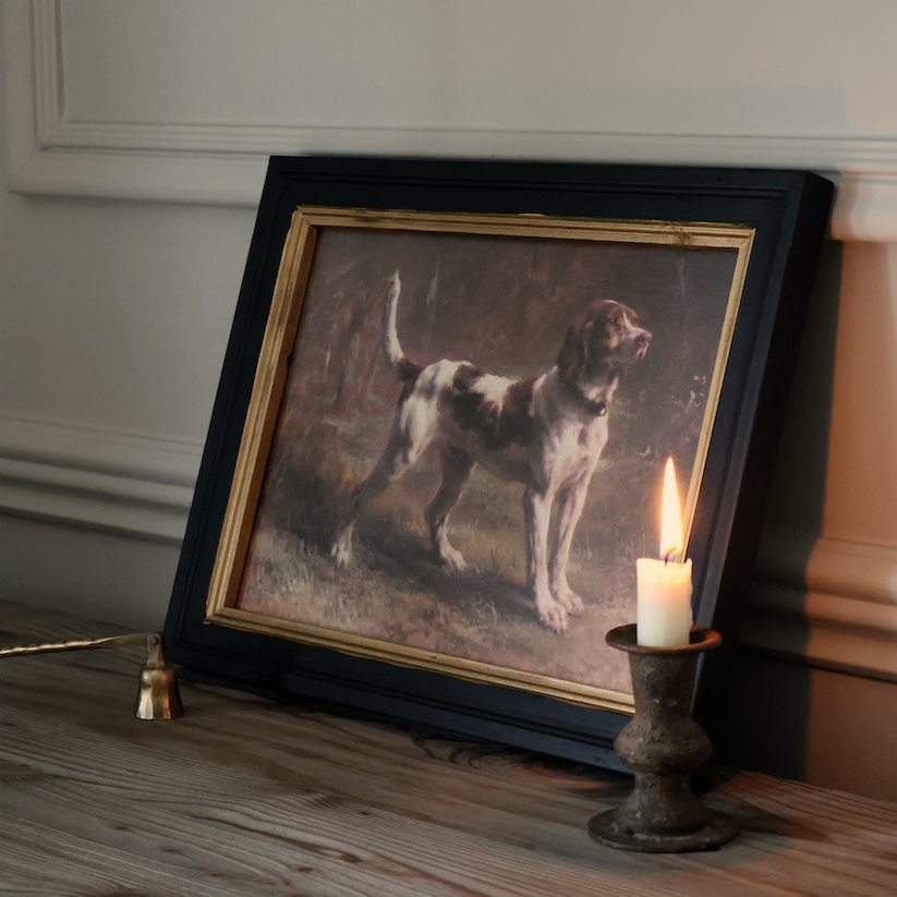 Standing Spaniel in Woodland Light Framed Print