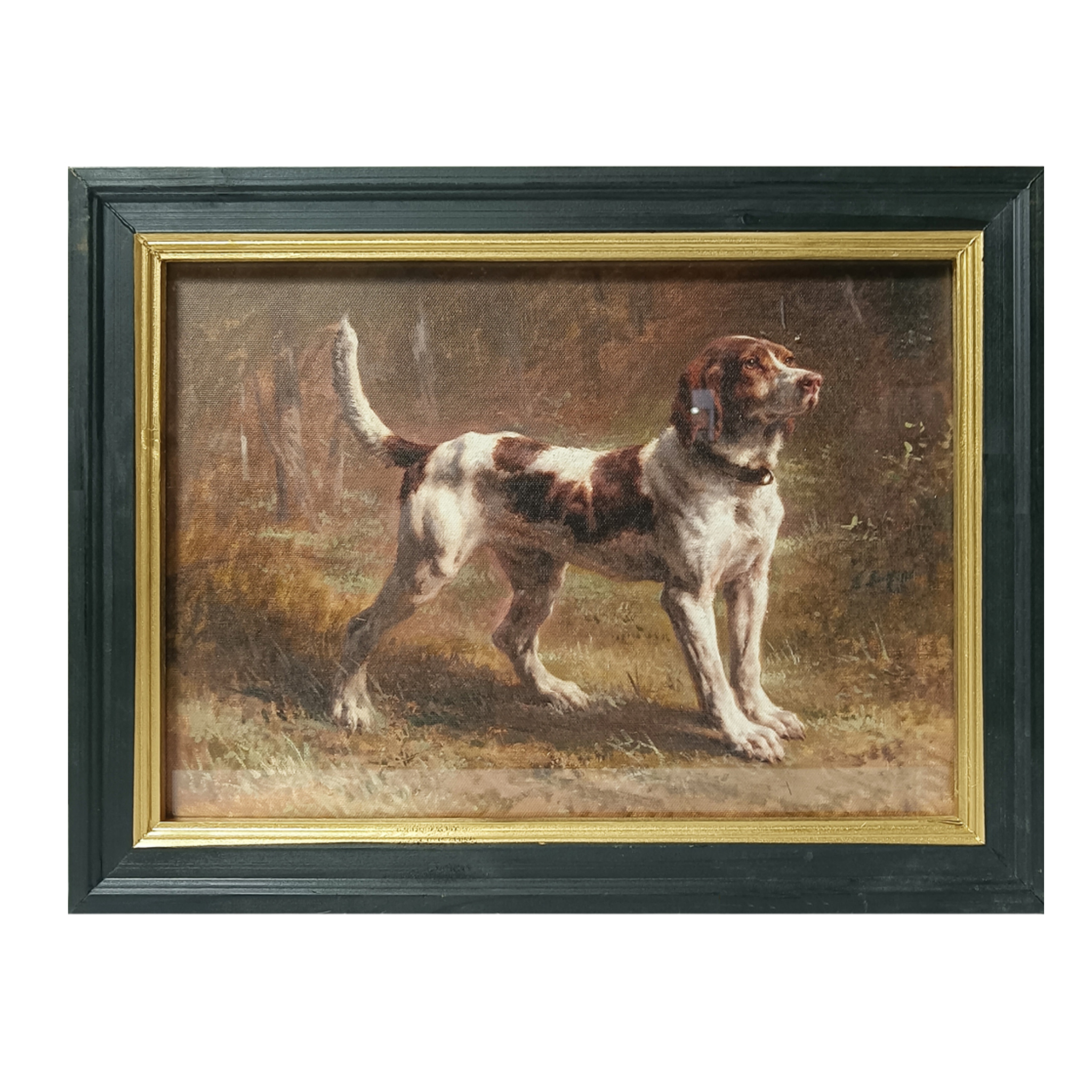 Standing Spaniel in Woodland Light Framed Picture