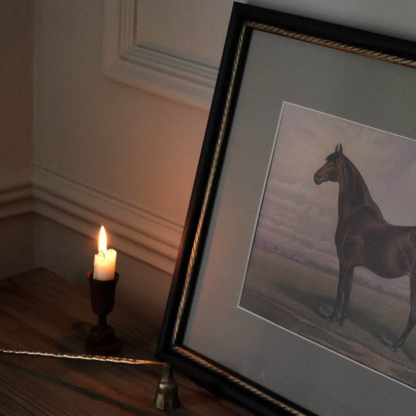 The Still Stallion Framed Print