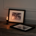 Stillwood Study Prints 