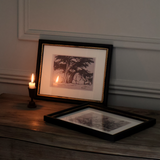 Stillwood Study Prints 