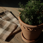 The Evara Sand Straight Pot