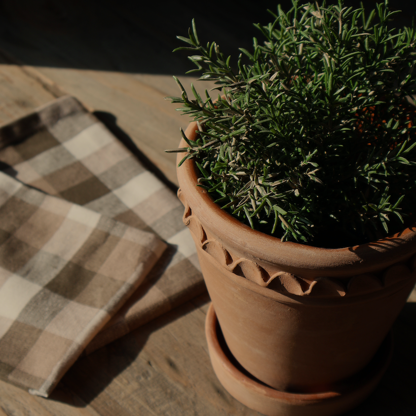 The Evara Sand Straight Pot