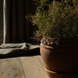 The Evara Sand Rounded Pot