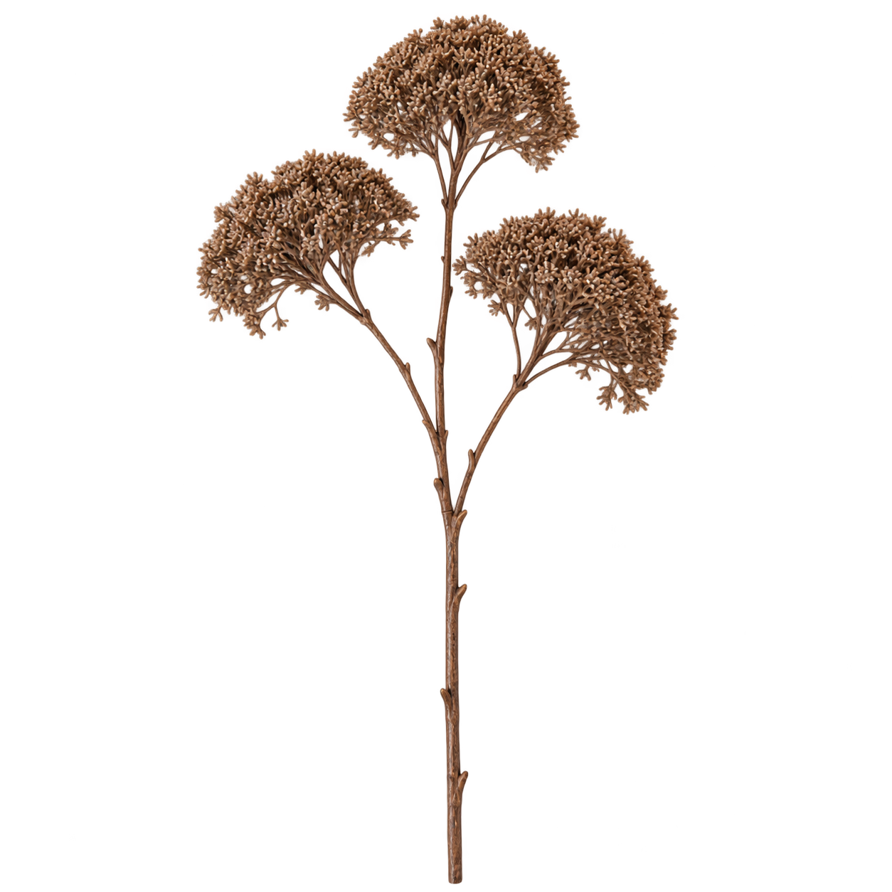 The Meadow Pom Pom Stem