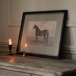 The Still Stallion Framed Print