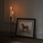The Still Stallion Framed Print