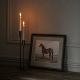 The Still Stallion Framed Print
