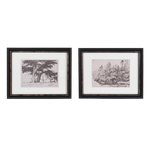 The StillwoodStudy- Framed Prints (Set of 2)