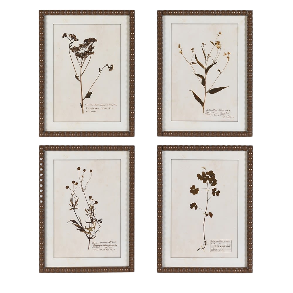 Floral Wall Art (Set of 4)