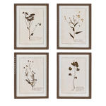 Floral Wall Art (Set of 4)