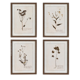 Floral Wall Art (Set of 4)