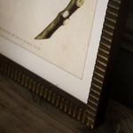 Pear Wall Art (Set of 4)