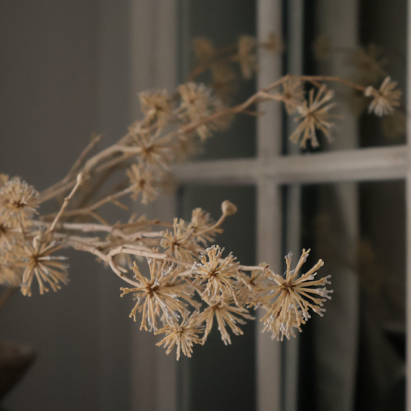 Wild Seed Stem