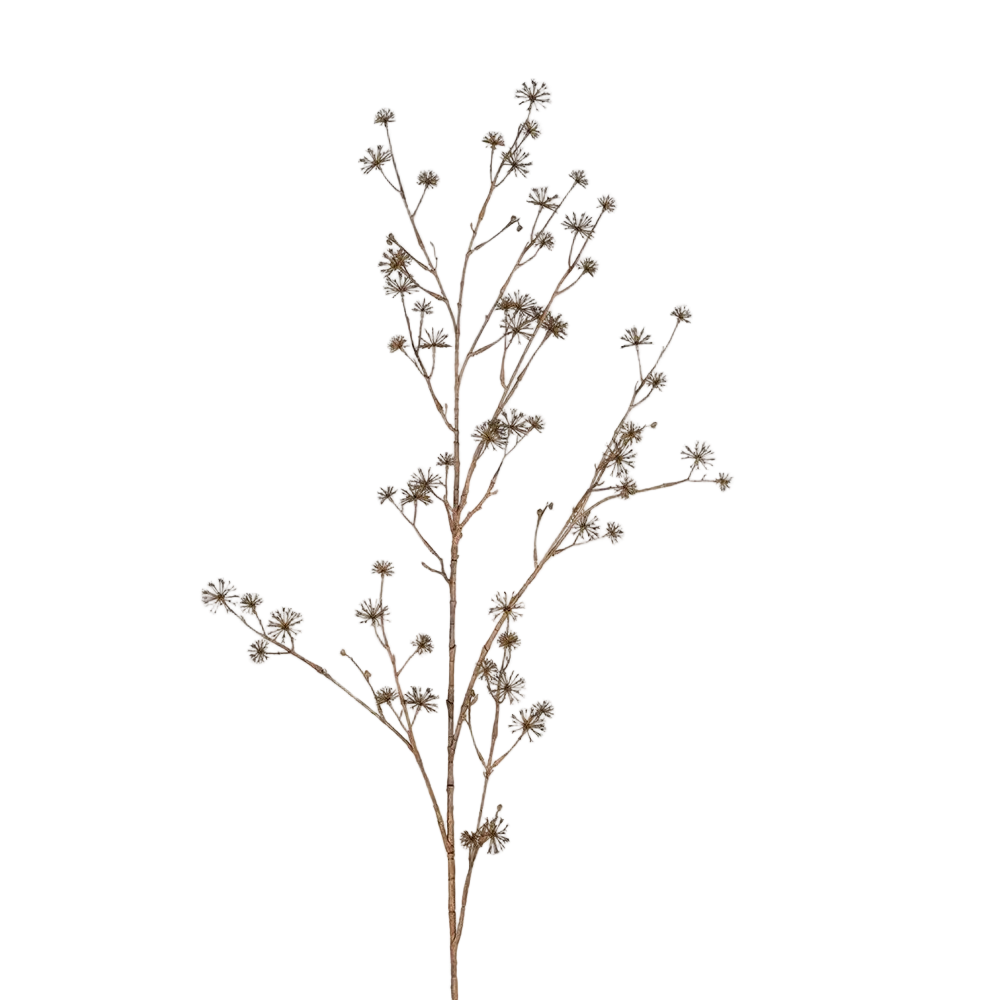 Wild Seed Stem