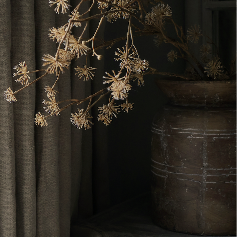 Wild Seed Stem in Vase